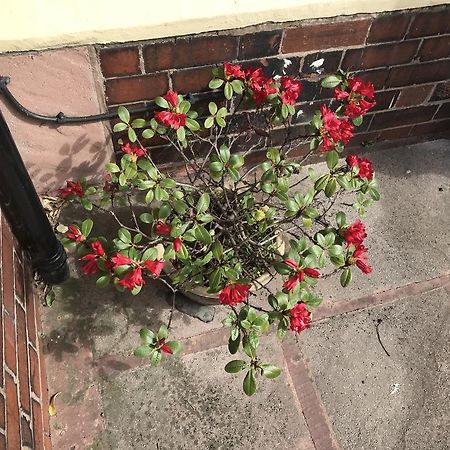 Sydney House 호텔 슈루즈버리 외부 사진